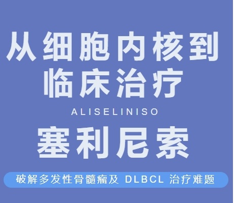 塞利尼索：基于核输出抑制机制，破解多发性骨髓瘤及 DLBCL 治疗难题